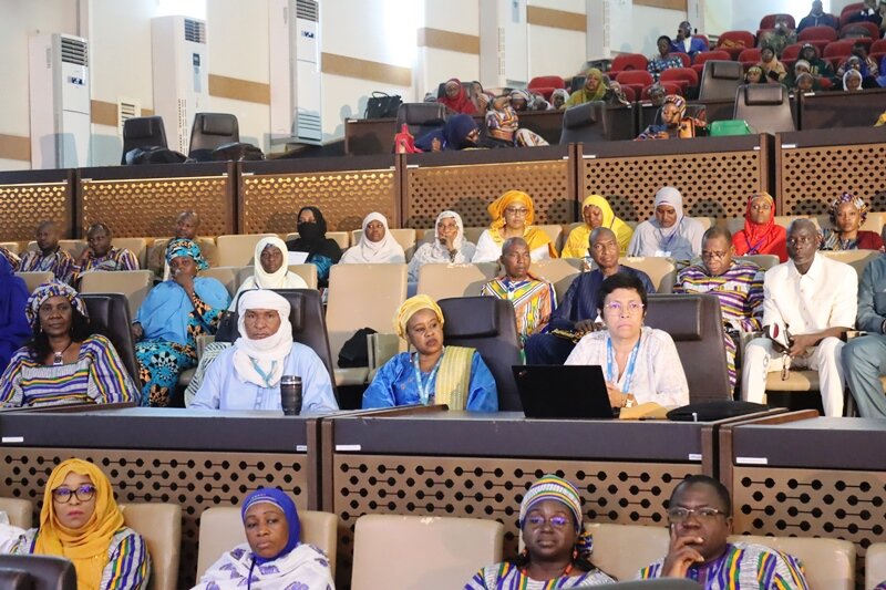 Conference Gyneco Niamey BIS