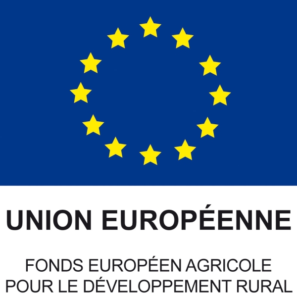 Dénonciation des accords avec EUCAP SAHEL et retrait du G 5 Sahel : Cascades de désaccords avec l’Union Européenne