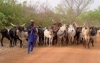 Niger : l’économie a fortement rebondi en 2022 à la faveur d’une bonne saison agricole