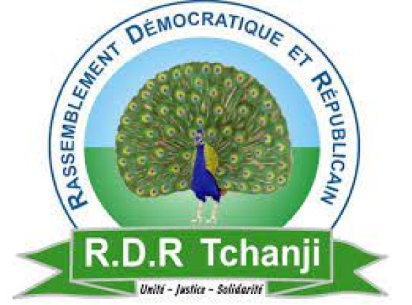 Politique : Malaise au sein du RDR-Tchanji à Zinder