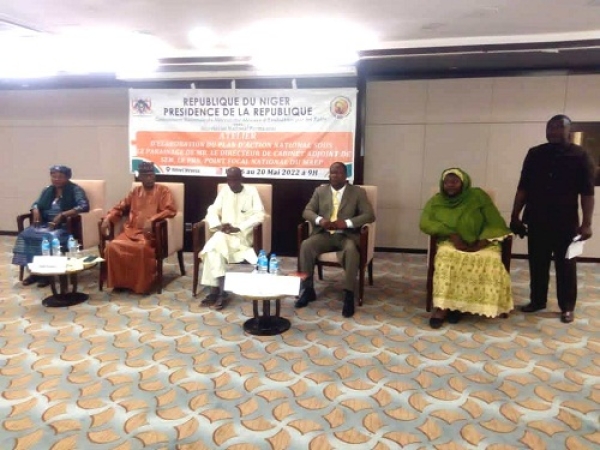 Atelier d’élaboration du PAN : Le MAEP-Niger en phase de finalisation du Plan d’Action National